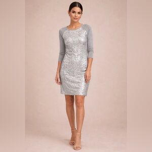 Ted Baker Elegant Silver Sequin Dress- Never Worn